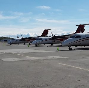 Meet your Posher, Gloria